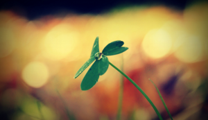 酒店会所新宠，白手杖养生馆(白手杖的功能)