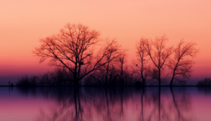 魅力西安，尊贵养生SPA，放松身心之旅(西安spa特色服务养生馆)