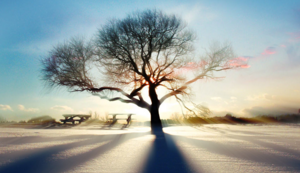 踝骨轻柔，西安养生之旅，静享时光(西安踝关节专家)